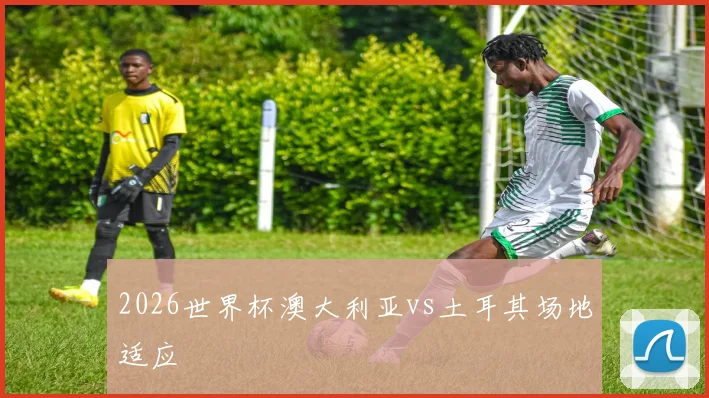 2026世界杯澳大利亚vs土耳其场地适应