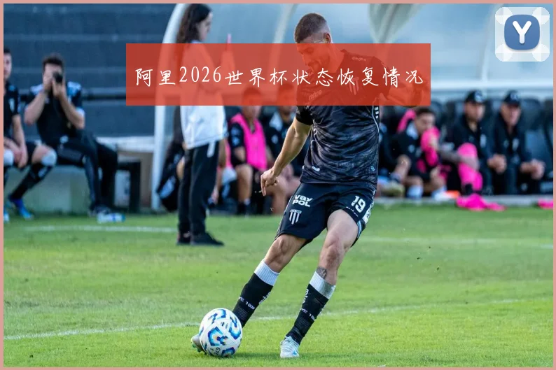阿里2026世界杯状态恢复情况