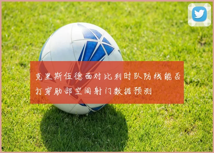 克里斯伍德面对比利时队防线能否打穿肋部空间射门数据预测