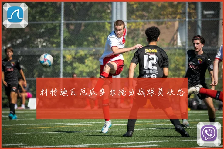 科特迪瓦厄瓜多尔抢分战球员状态