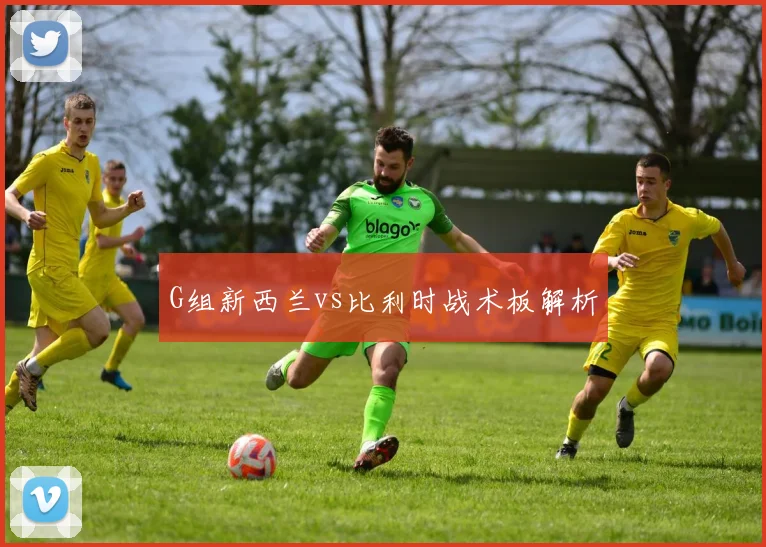 G组新西兰vs比利时战术板解析