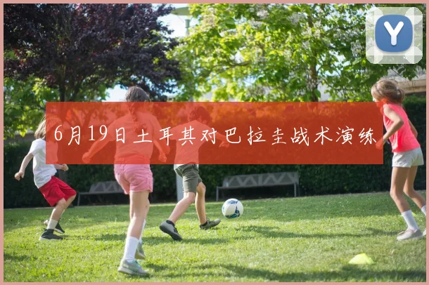 6月19日土耳其对巴拉圭战术演练
