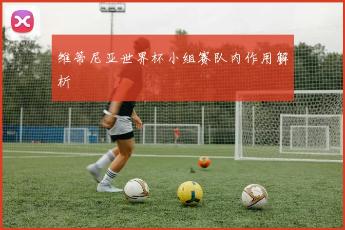 维蒂尼亚世界杯小组赛队内作用解析