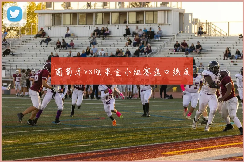 葡萄牙vs刚果金小组赛盘口热度