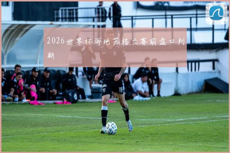 2026世界杯海地苏格兰赛前盘口判断