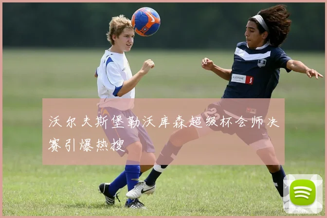 沃尔夫斯堡勒沃库森超级杯会师决赛引爆热搜