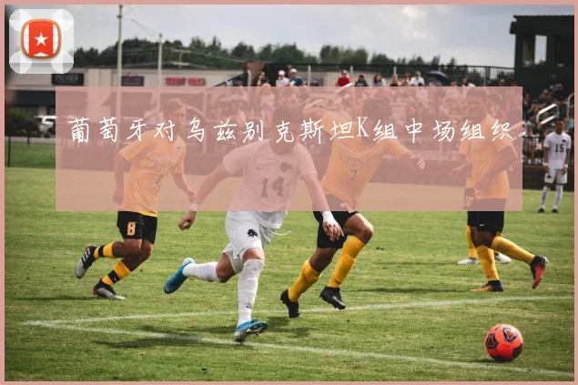 葡萄牙对乌兹别克斯坦K组中场组织