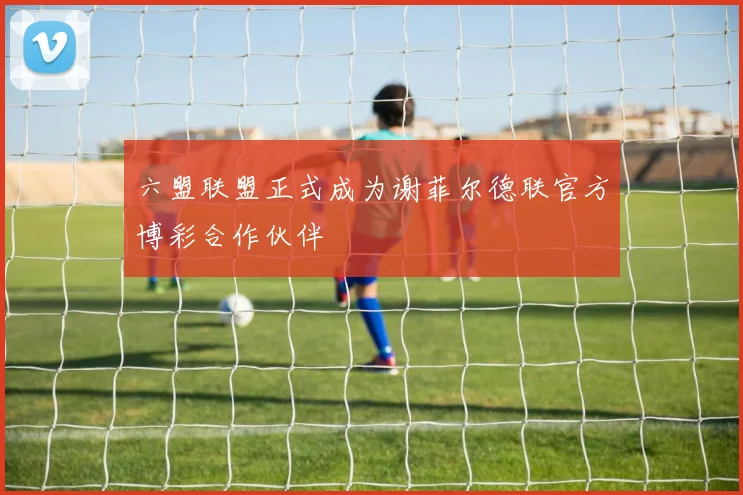 六盟联盟正式成为谢菲尔德联官方博彩合作伙伴
